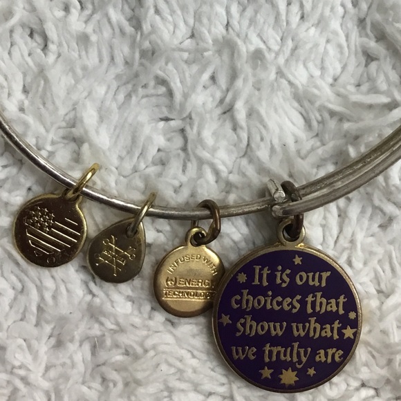 Alex and Ani Harry Potter Its Our Choices Charm Bangle Slide Bracelet - Picture 6 of 7